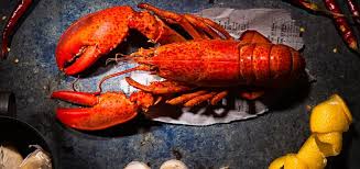 BOGAVANTE