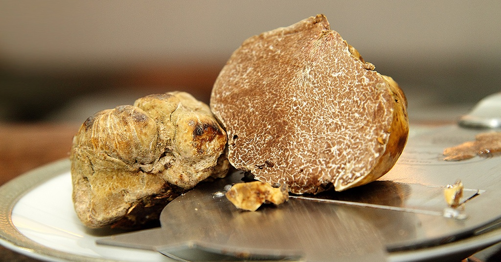 TRUFA BLANCA