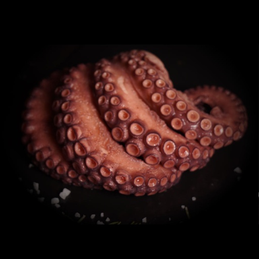 [SALTYPUL] PULPO KRAKEN 900 G - 1 KG