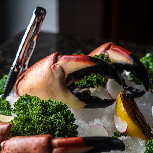 [FBCMC03] TENAZA DE CANGREJO MORO JUMBO (STONE CRAB)