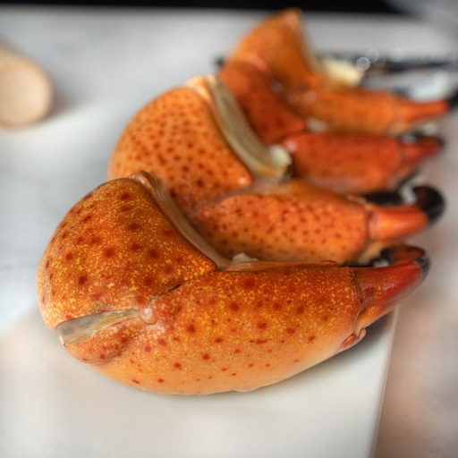 [FBCMC01] TENAZA DE CANGREJO MORO GRANDE (STONE CRAB)