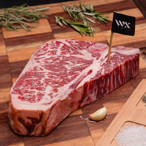 [FBTBWX5] T-BONE WX 5 